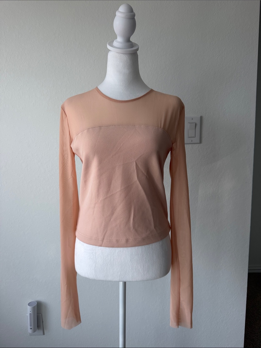 Zara Peach Sheer Yoke Long-Sleeve Top